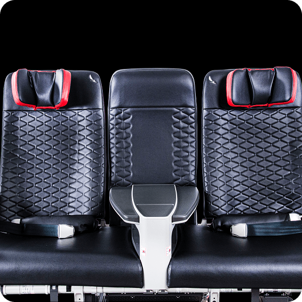 asiento premium 4