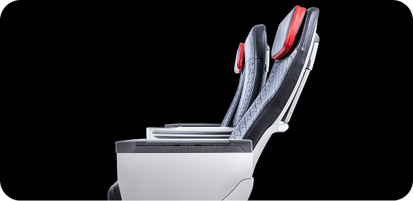 asiento premium 11